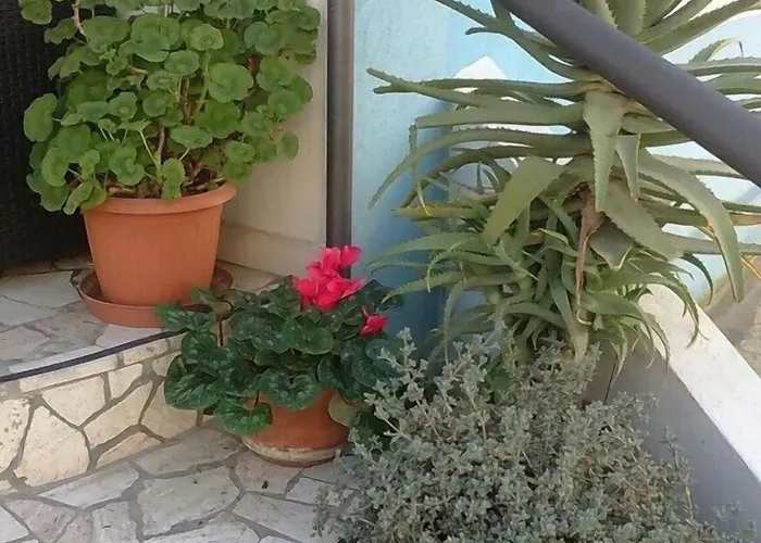 Acquazzurra Hotel 3*