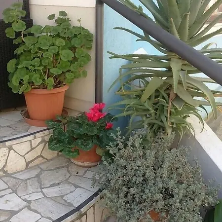 Acquazzurra Hotel 3*